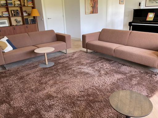 Teppichschild Teppich Sauvage