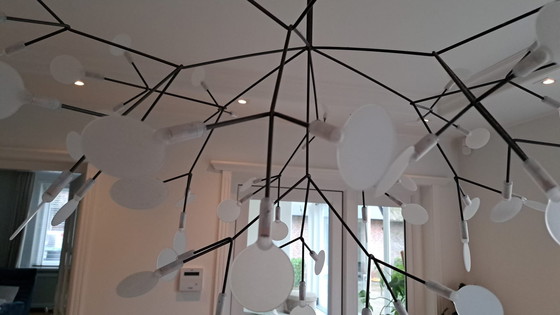 Image 1 of Moooi Heracleum Groß Nickel