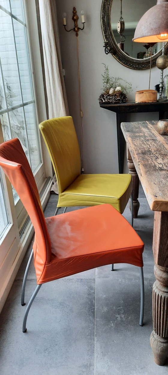 Image 1 of 4x Montis Gerard van de Berg Spica Esszimmerstuhl