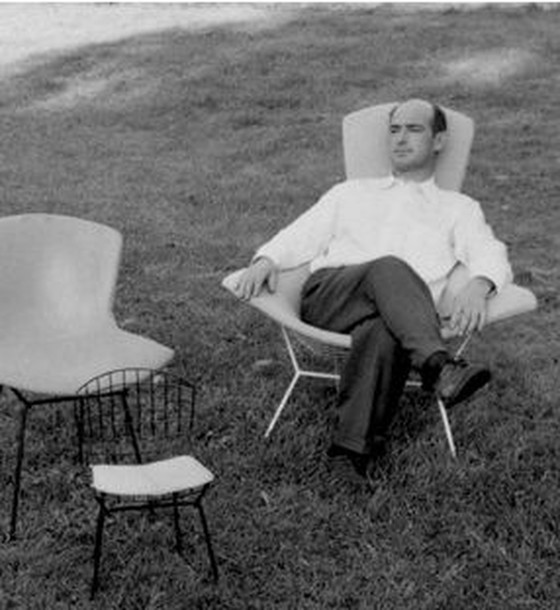 Image 1 of Knoll Harry Bertoia Vogelstuhl + Ottomane