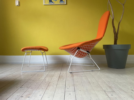 Knoll Harry Bertoia Vogelstuhl + Ottomane