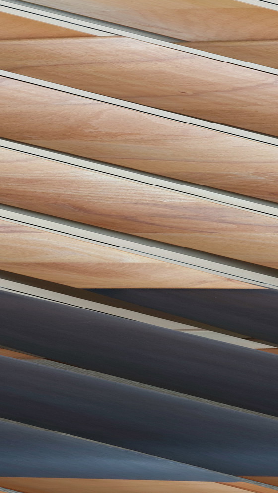 Image 1 of 8x Stühle aus Kernbuche von Göhring