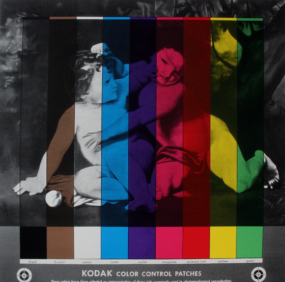 Image 1 of Rob Scholte - Siebdruck: Nachdruck obligatorisch - 2004