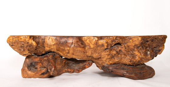 Image 1 of Rootwood Trunk Couchtisch - Brutalistisches und organisches Design
