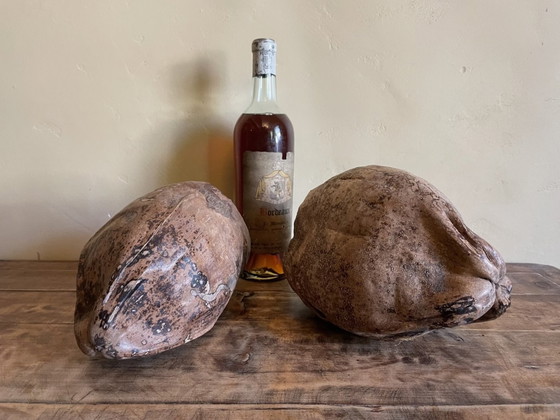 Image 1 of 2 X dekorative Kokosnüsse