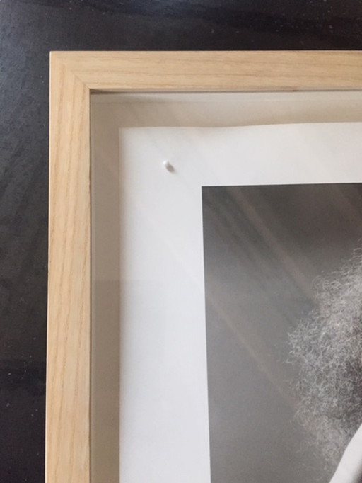 Albert Watson photographie