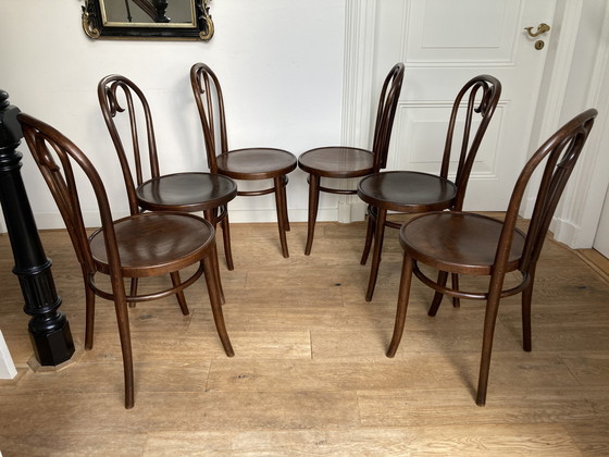 Image 1 of 6x Thonet Nr. 16 von Rumänien.