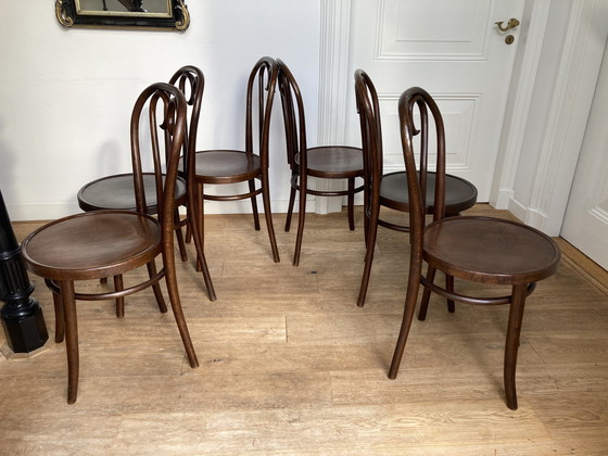 Image 1 of 6x Thonet Nr. 16 von Rumänien.