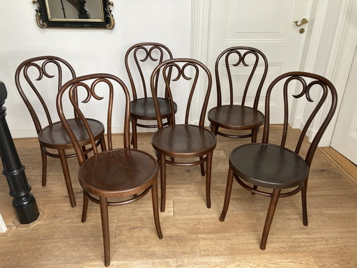 6x Thonet Nr. 16 von Rumänien.