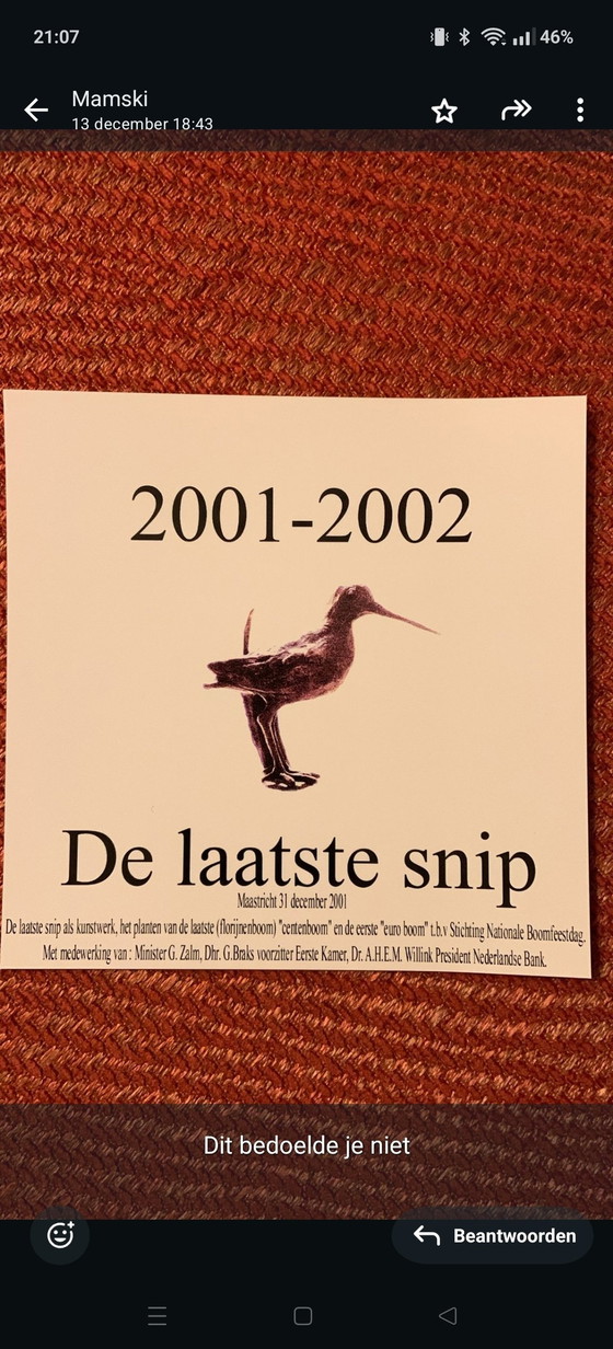 Image 1 of Die letzte Lachsschnepfe