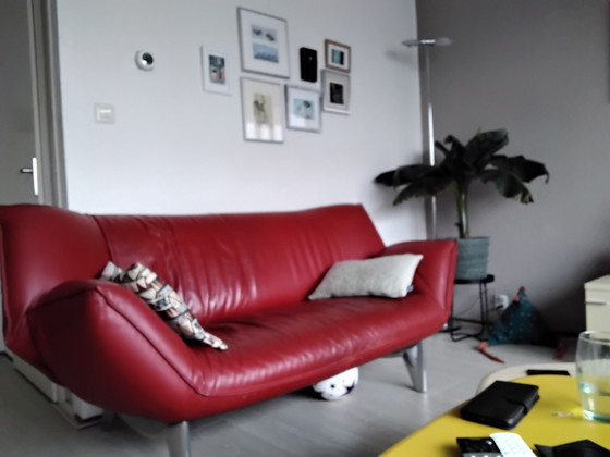 Image 1 of Leolux Tangobank