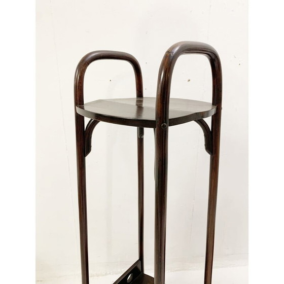 Image 1 of Paar alte Bugholzgeschirre von Thonet, 1930