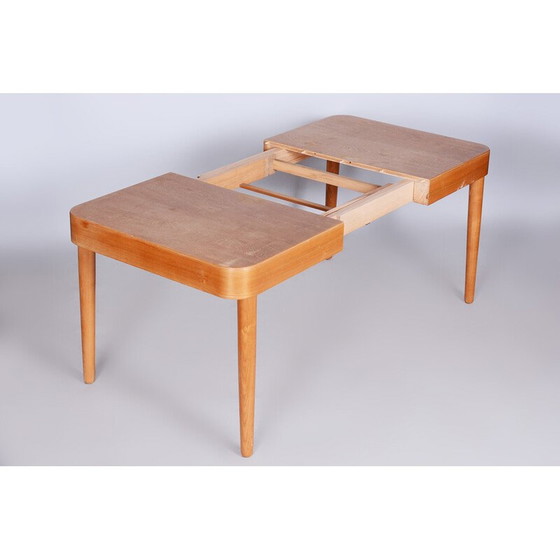 Image 1 of Mid-Century Esstisch aus Eschenholz von Uluv, Tschechien 1950er Jahre