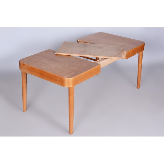 Image 1 of Mid-Century Esstisch aus Eschenholz von Uluv, Tschechien 1950er Jahre