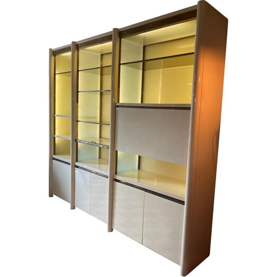 Image 1 of Vintage-Leuchtenregal von Jean Claude Mahey für Roche Bobois, 1980