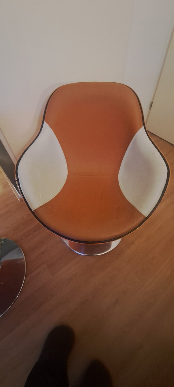 Image 1 of Space Age Basket Chair (Stühle)