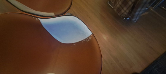 Image 1 of Space Age Basket Chair (Stühle)