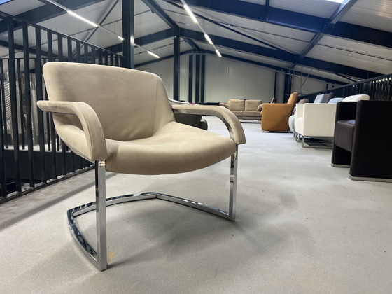 Image 1 of Molinari Stephanie Sessel Nubukleder