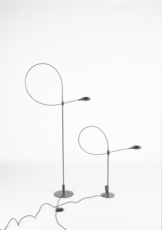 Image 1 of Sirrah Sigla Lampe