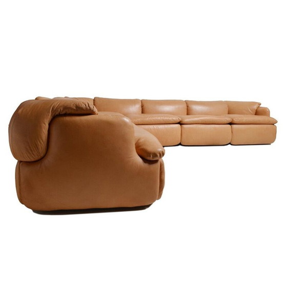 Image 1 of Braunes Vintage-Ledersofa von Rosselli für Saporiti aus Glasfaser 1970