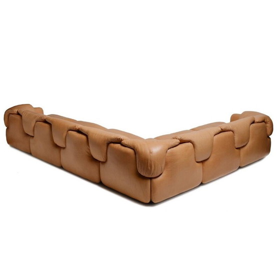 Image 1 of Braunes Vintage-Ledersofa von Rosselli für Saporiti aus Glasfaser 1970