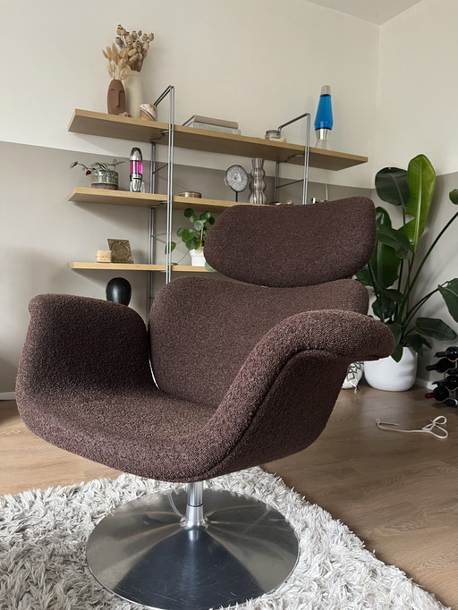 Artifort Große Tulpe Bouclé Braun