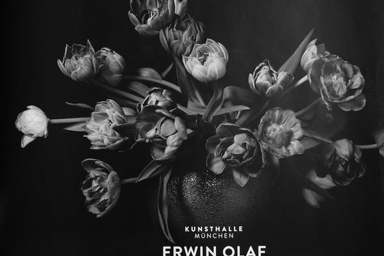 Image 1 of Erwin Olaf - Plakat zur Ausstellung