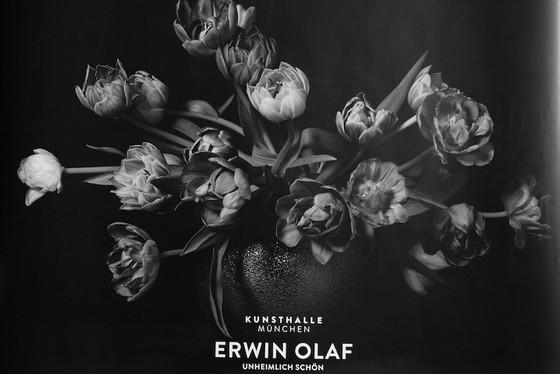 Image 1 of Erwin Olaf - Plakat zur Ausstellung