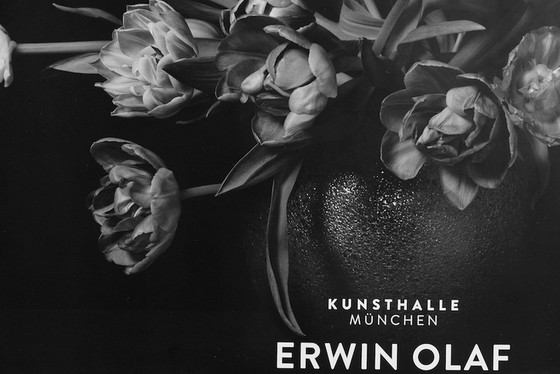 Image 1 of Erwin Olaf - Plakat zur Ausstellung