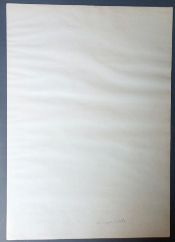 Image 1 of Friedensreich Hundertwasser 'Arche Noah' Originalplakat Grüner Janura 1988