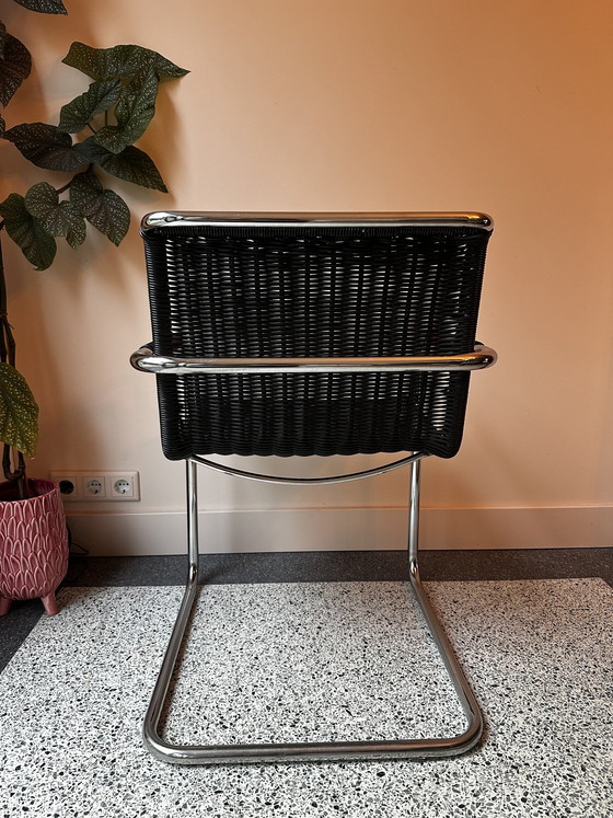 Image 1 of 3X Vintage Tecta D41 Freischwinger Esszimmerstuhl / Freischwinger