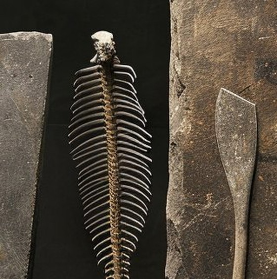 Image 1 of Der Tisch des Archäologen