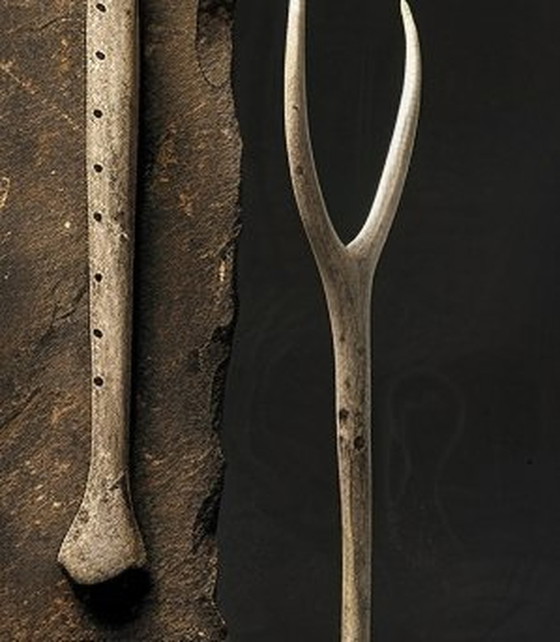 Image 1 of Der Tisch des Archäologen