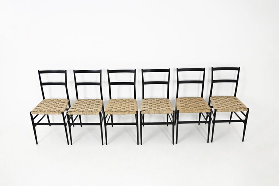 Image 1 of "Superleggera"-Stühle von Gio Ponti für Cassina, 1950er Jahre, 6-teilig