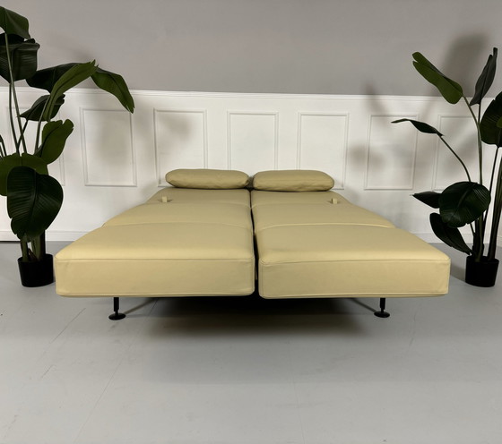 Image 1 of Brühl Moule Small 2-Sitzer Designer Sofa Leder Ausstellungsstück