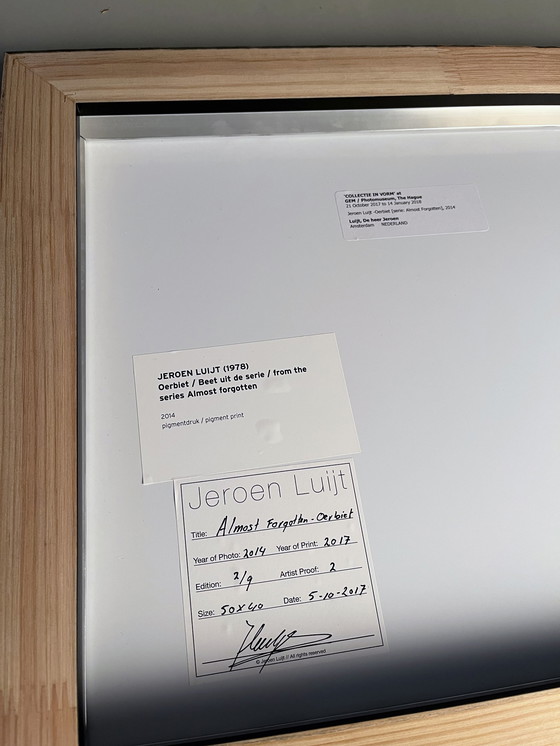 Image 1 of Jeroen Luijt – Oerbiet