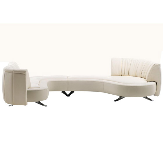 Image 1 of Neuer Zustand De Sede Ds 1064 Landschaft Schlange Design Sofa