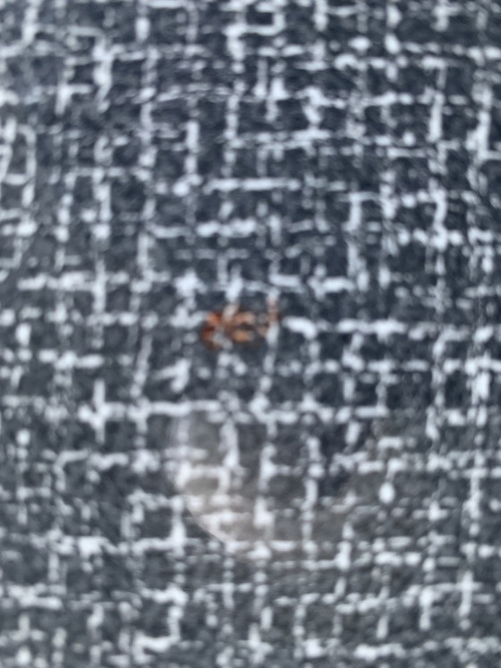 Image 1 of Couchtisch von Cees Braakman für Pastoe