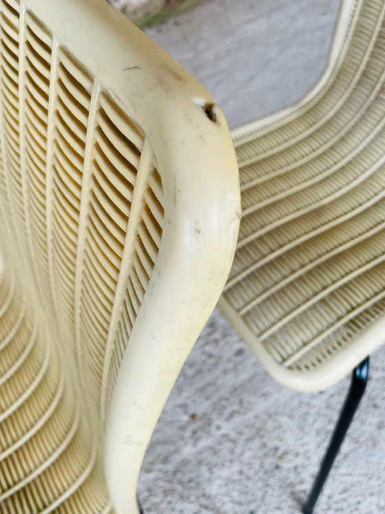 Image 1 of Mid-Century, Terrassenstühle Fantasia, 2er-Set, 1950'S