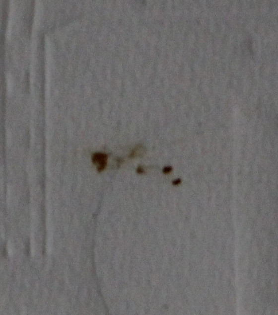 Image 1 of Rob Scholte - Klischee VI