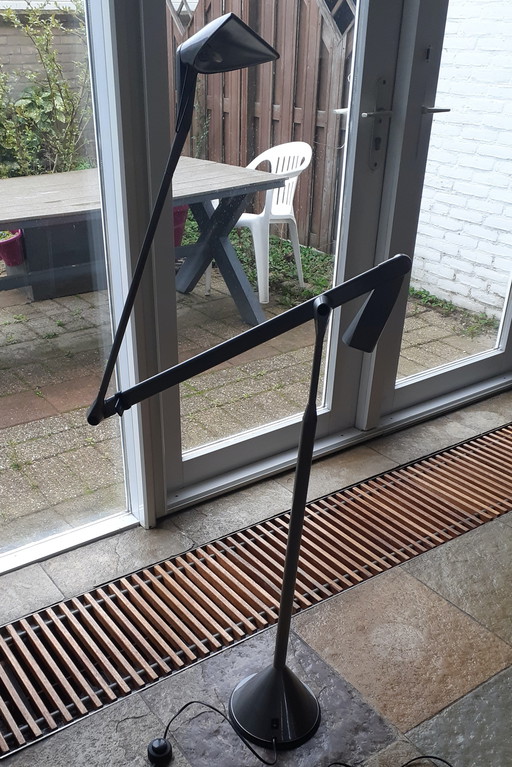 Walter Monica Zelig Terra Stehleuchte