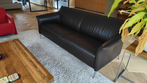 Leolux Sofa Mayron Chocolat