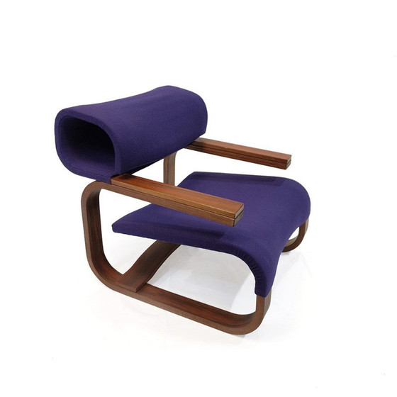 Image 1 of Paar Vintage-Sessel von Jan Bocan für Thonet, 1972