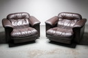 2x De Sede DS 101 Sessel
