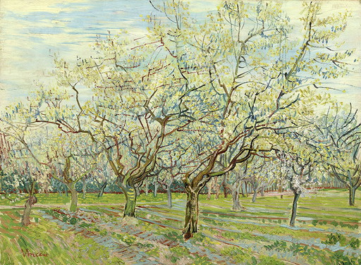 Vincent van Gogh - Der weiße Obstgarten