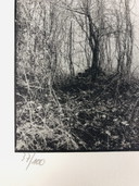 Ralph Janowski – Fotodruck