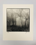 Ralph Janowski – Fotodruck