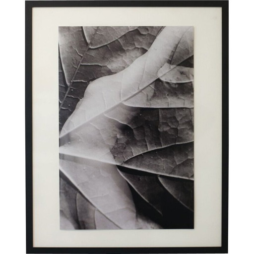 Vintage painting Natural Movements 11 von Meïdhy Bichon, 2019