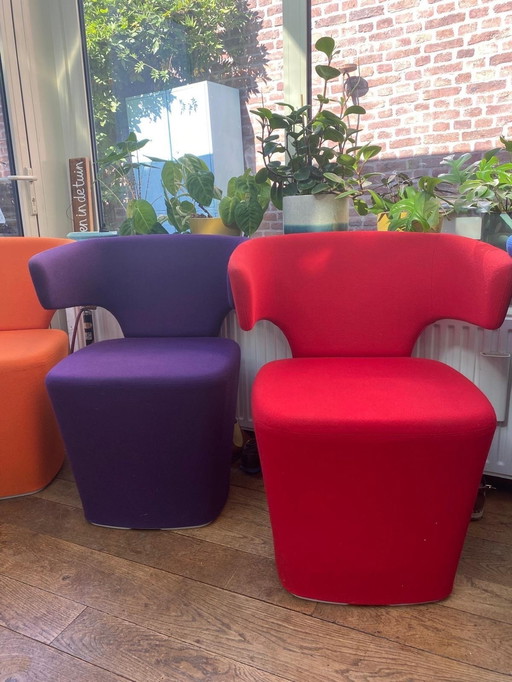 Allermuir Bison Verschiedene Farben