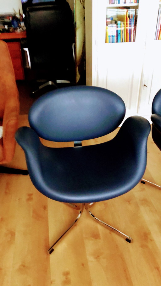 Vier ikonische Artifort Little Tulip Chairs.